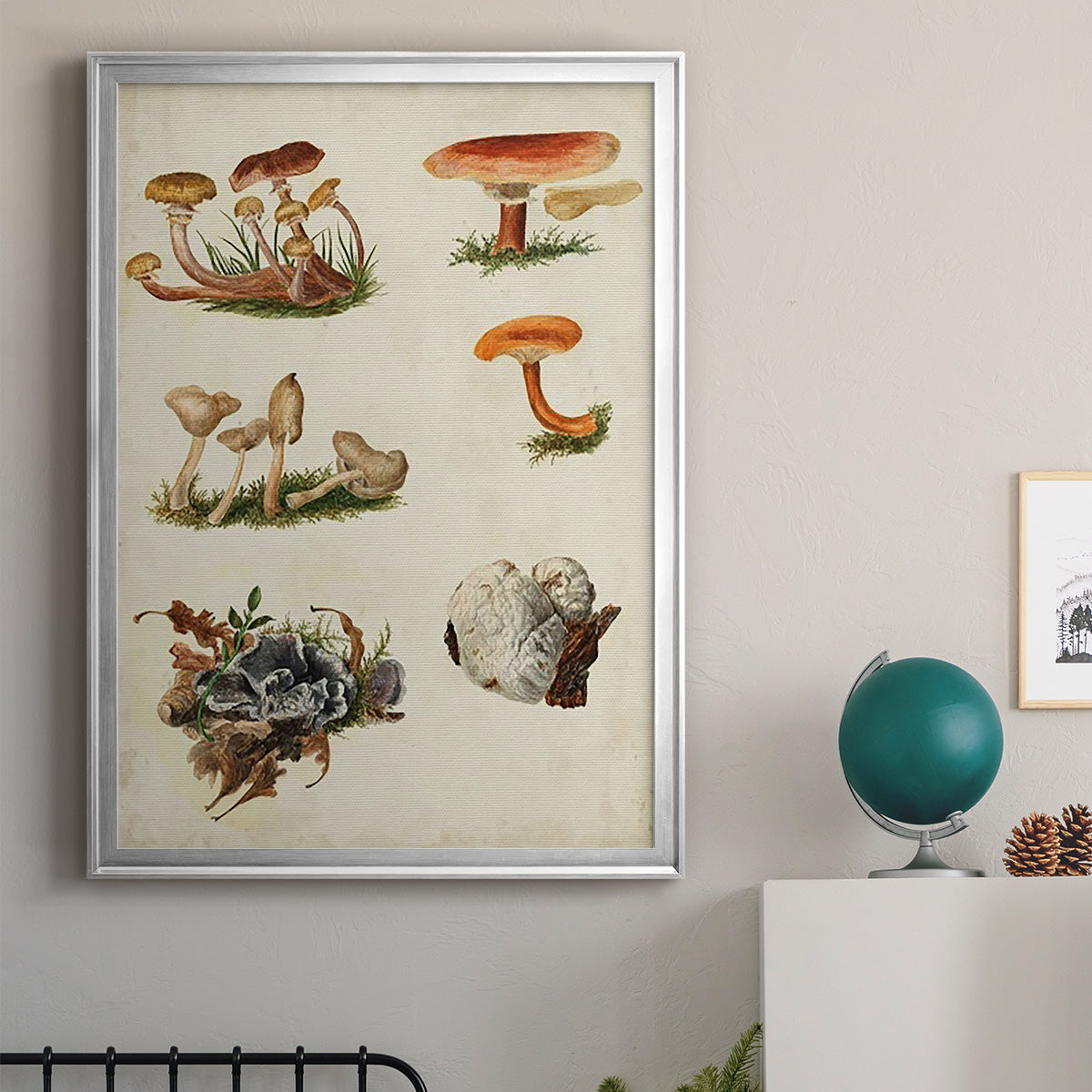 Mushroom Species X - Modern Framed Canvas Print