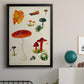 Mushroom Species VIII - Modern Framed Canvas Print