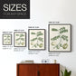 Buchoz Tropicals II - Restickable Framed Art Print