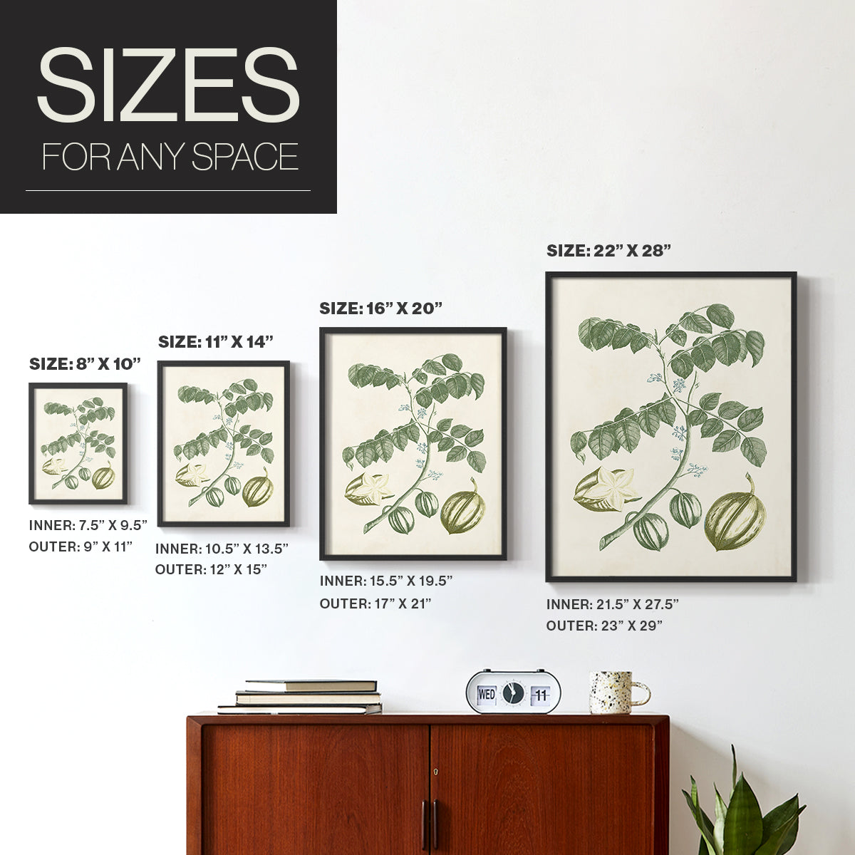 Buchoz Tropicals II - Restickable Framed Art Print