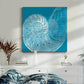 Saturated Shell IV - Canvas Art Print