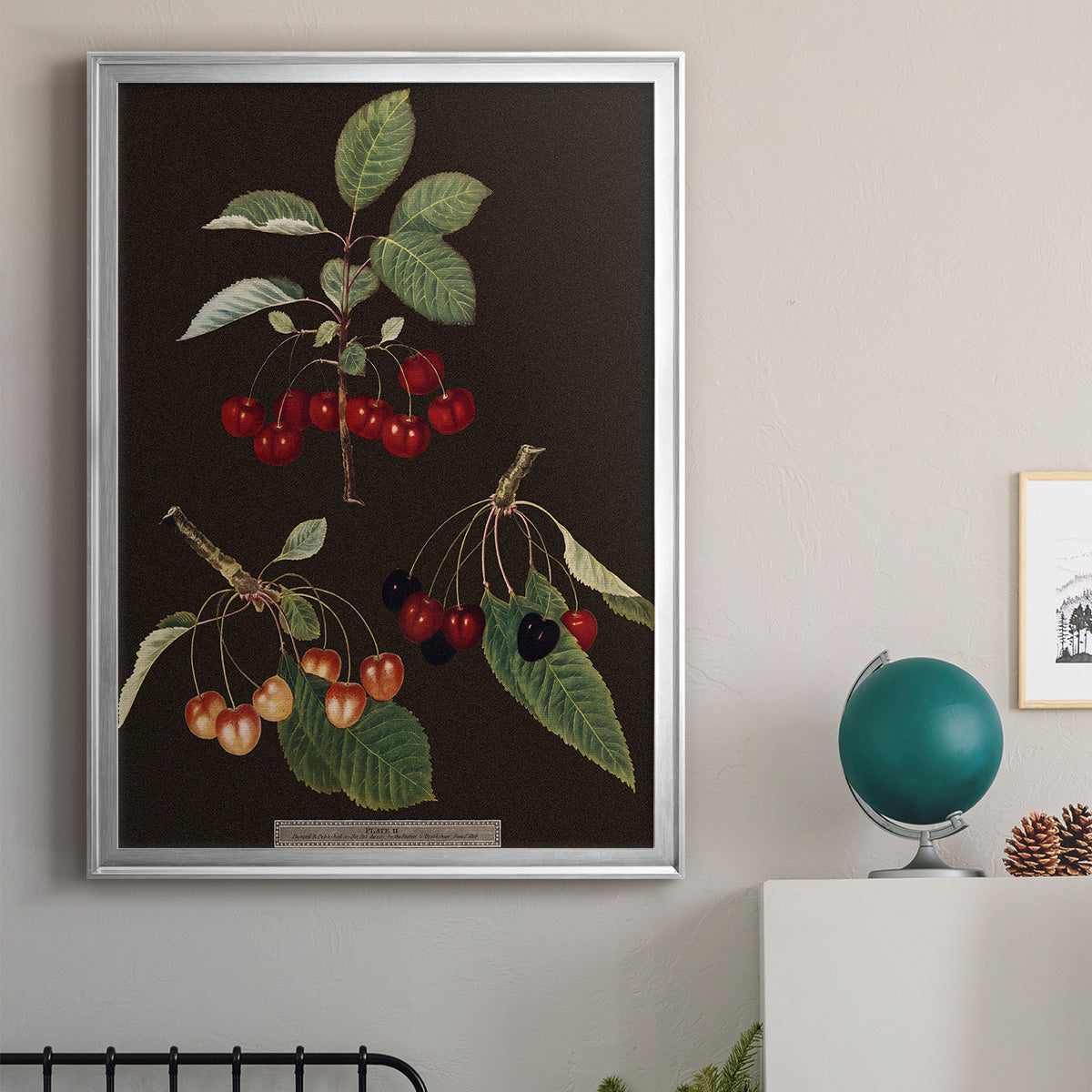 Brookshaw Cherries - Modern Framed Canvas Print