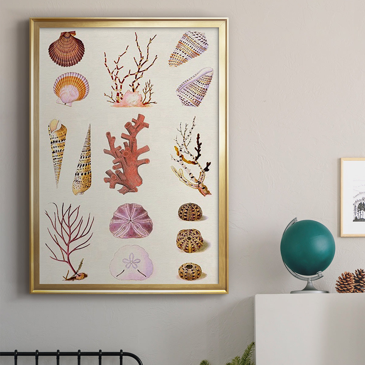 Coral & Shell Collage II -  Framed Canvas Print