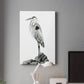 Shoreline Heron in B&W II Premium Gallery Wrapped Canvas - Ready to Hang