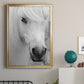 Island Pony I - Modern Framed Canvas Print