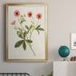 Flowers of the Seasons VIII - Modern Framed Canvas Print