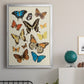 Collected Flutter II - Modern Framed Canvas Print