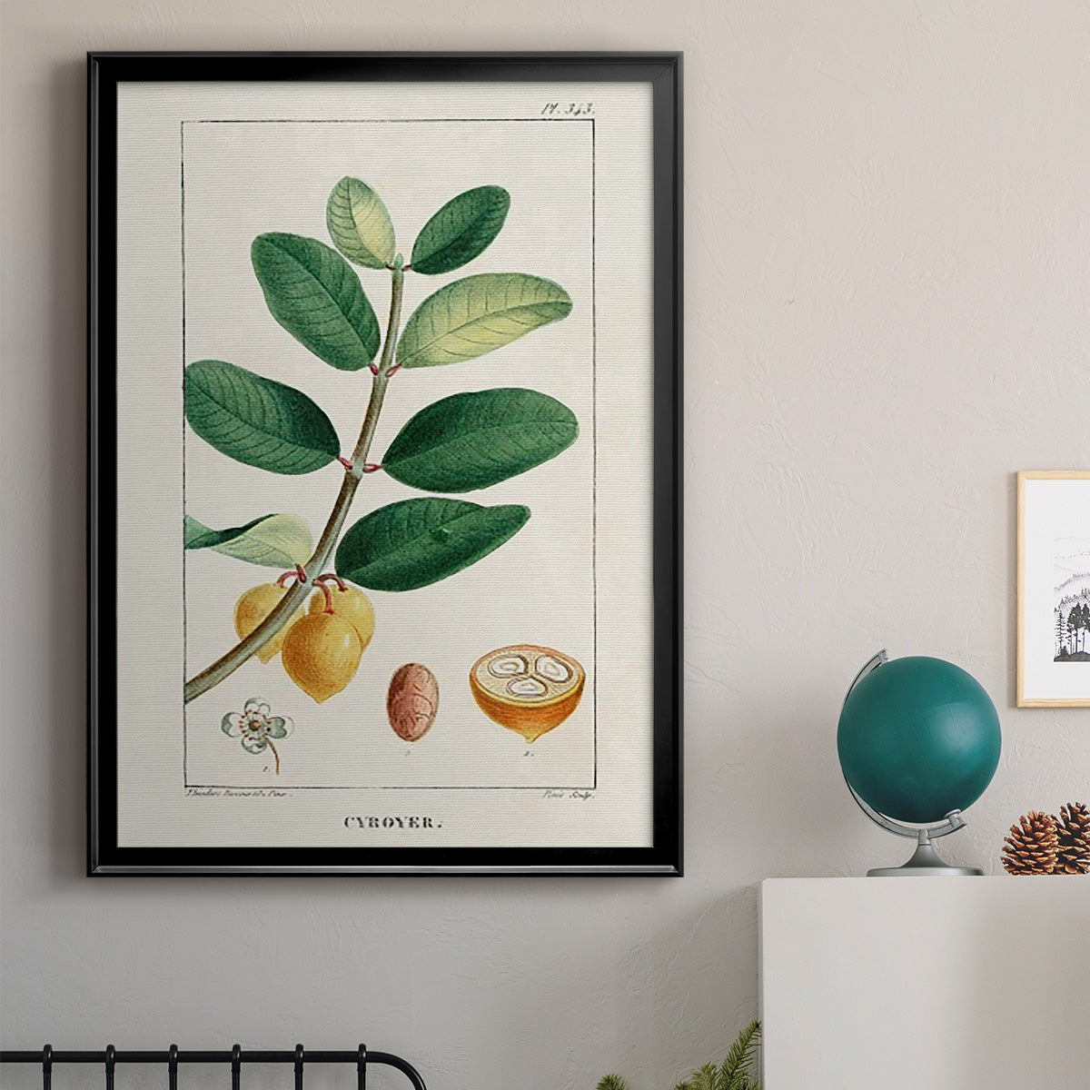 Turpin Tropical Botanicals V - Modern Framed Canvas Print