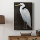 White Heron Portrait II  Premium Gallery Wrapped Canvas - Ready to Hang