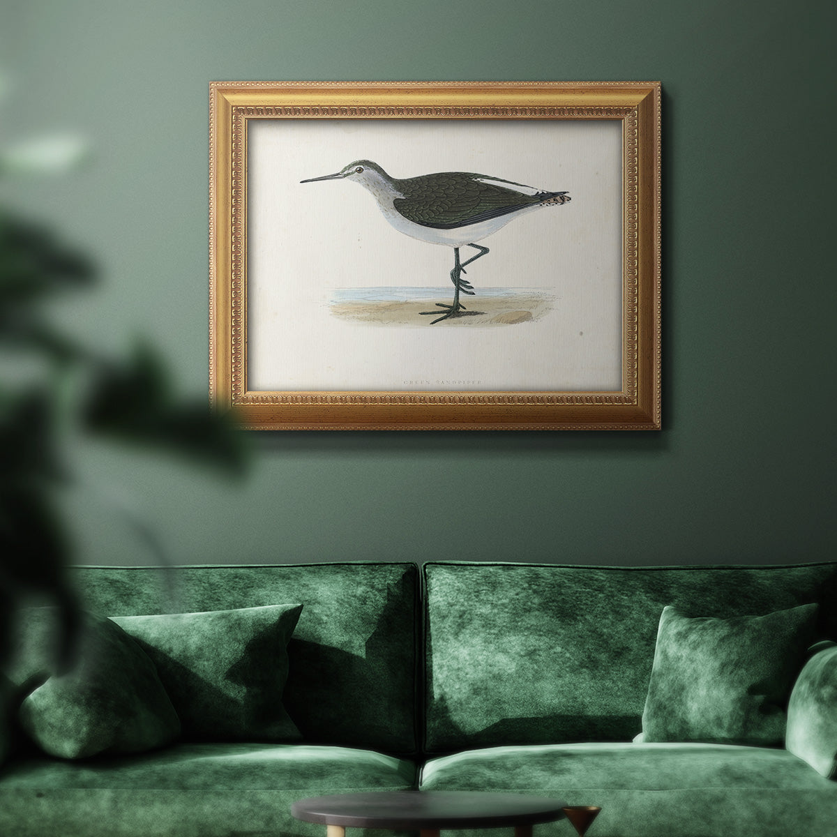 Morris Sandpipers VI Premium Framed Canvas- Ready to Hang