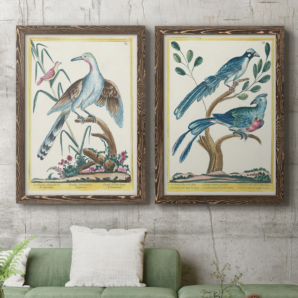 Pastel Birds V - Premium Framed Canvas 2 Piece Set - Ready to Hang