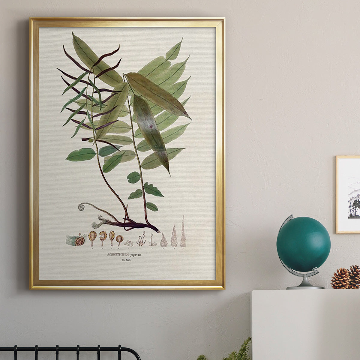 Botanical Society Ferns VI - Modern Framed Canvas Print