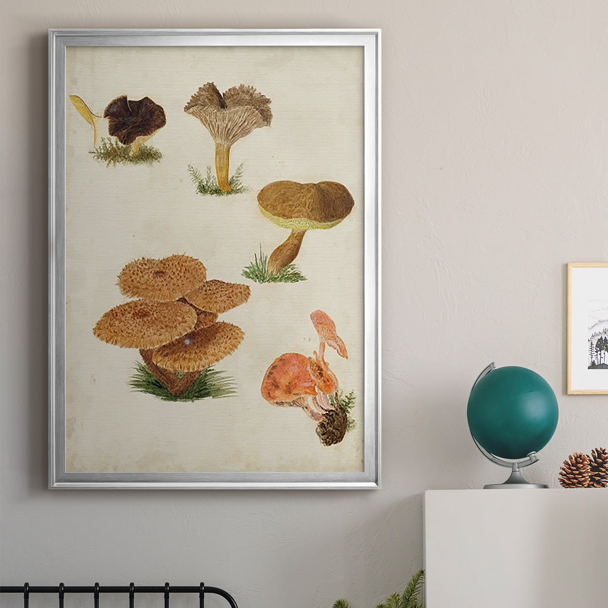 Mushroom Species V - Modern Framed Canvas Print