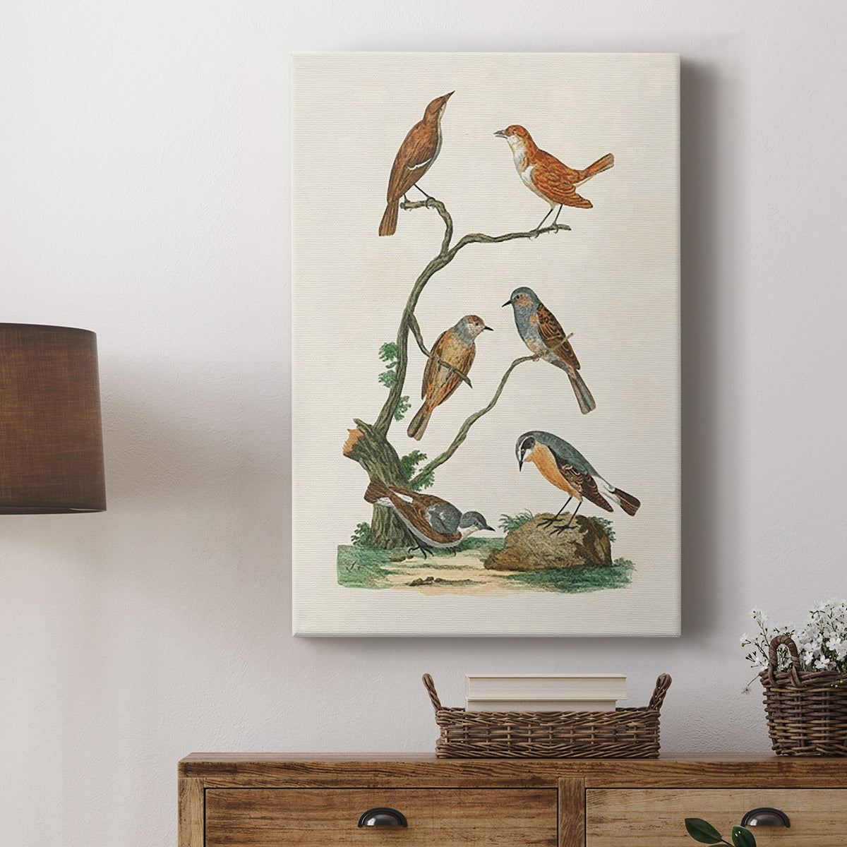 Antique Birds in Nature IV Premium Gallery Wrapped Canvas - Ready to Hang