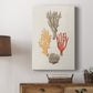 Knorr Shells & Coral IV Premium Gallery Wrapped Canvas - Ready to Hang