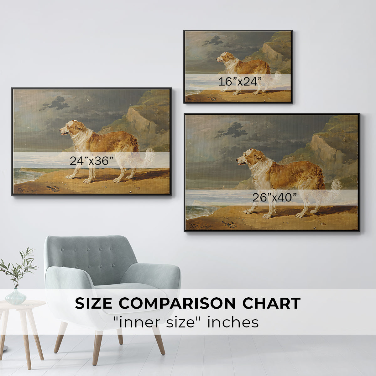 Rough-Coated Collie, 1809 - Floater Framed Canvas Print