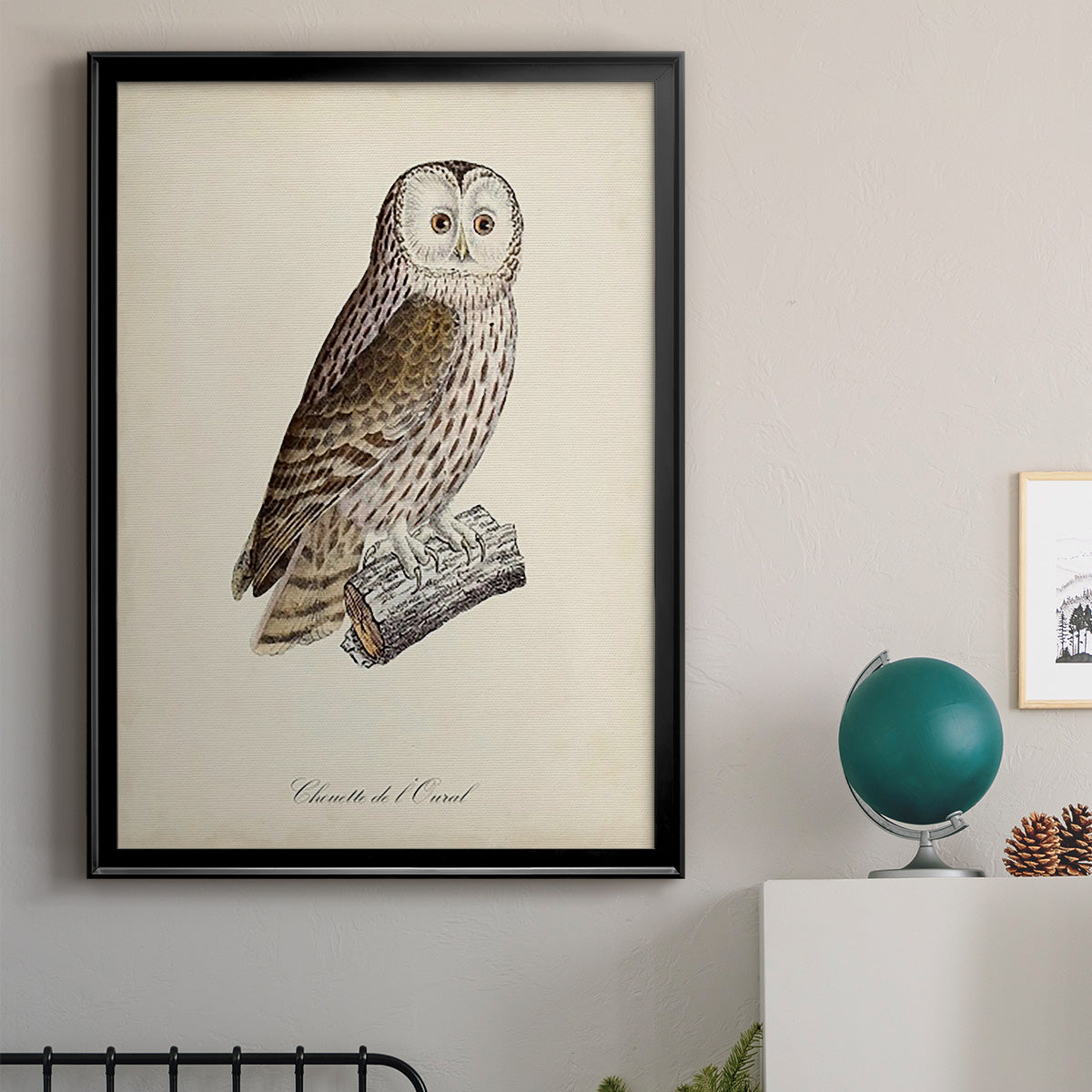 French Owls V - Modern Framed Canvas Print