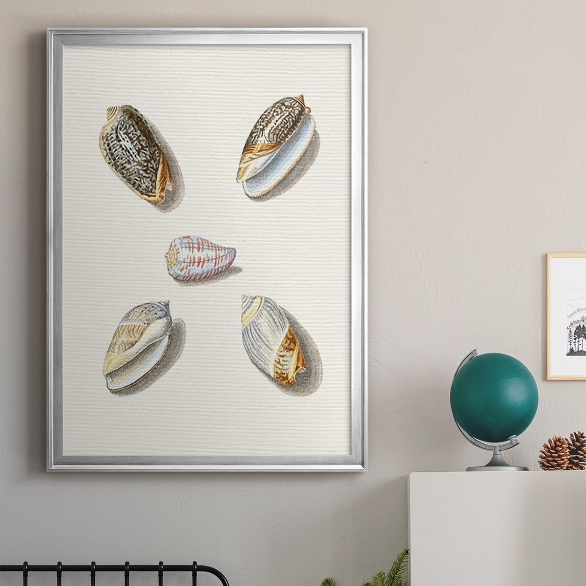 Pastel Knorr Shells III - Modern Framed Canvas Print
