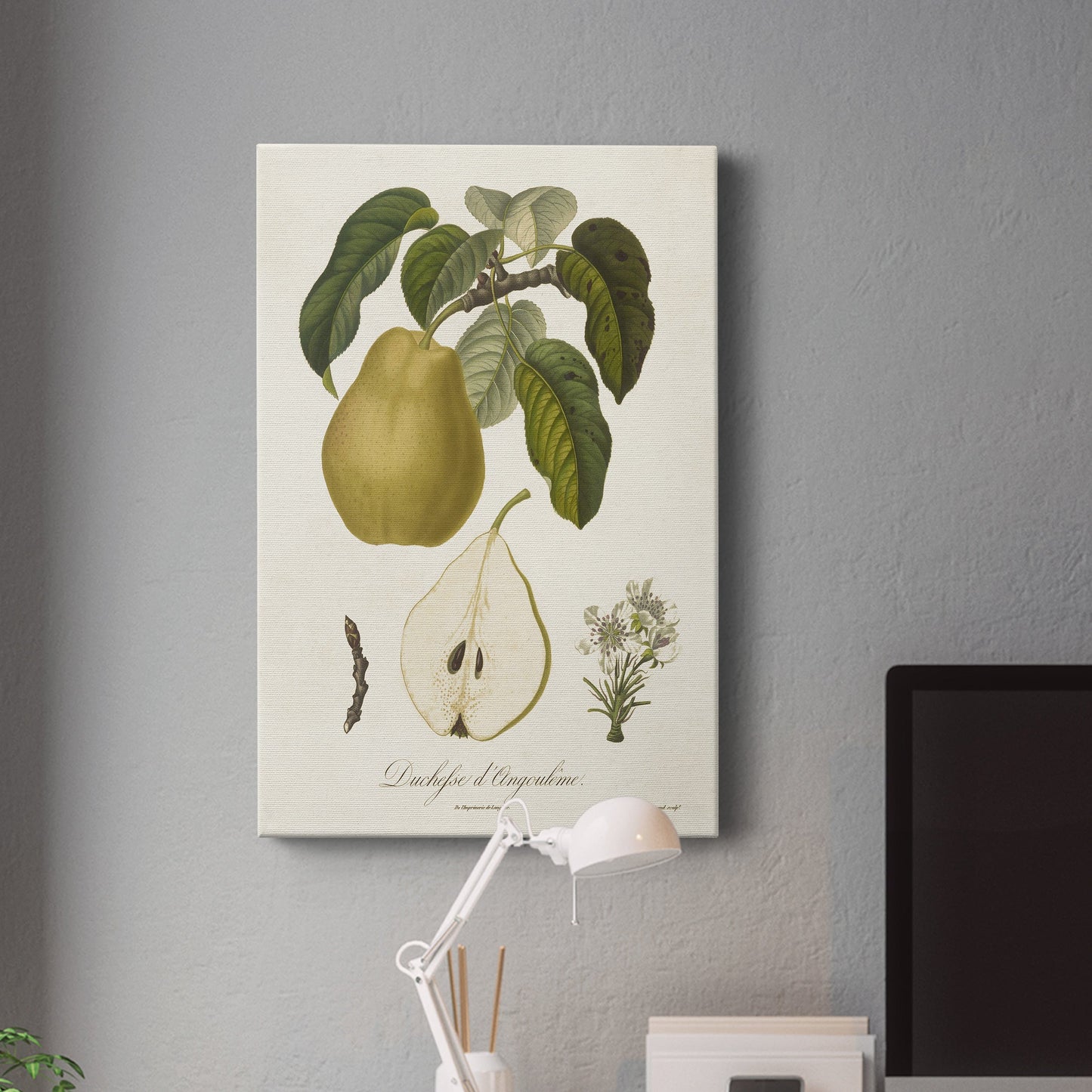 Vintage Pears I Premium Gallery Wrapped Canvas - Ready to Hang