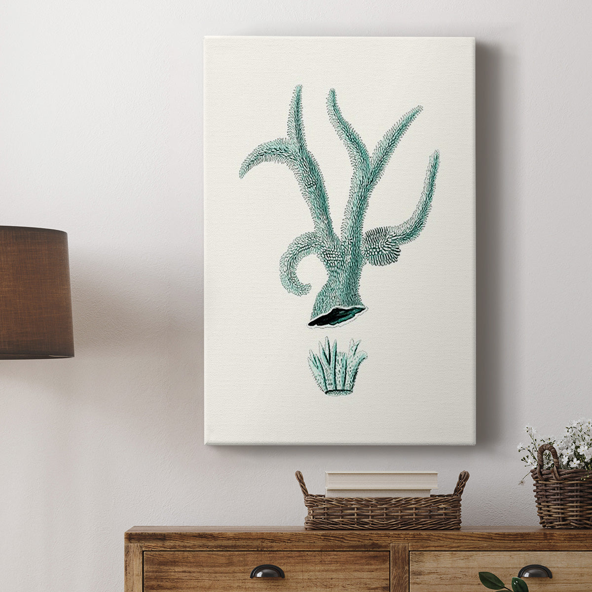 Antique Coastal Coral XII - Canvas Art Print