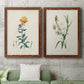 Traditional Botanical III - Premium Framed Canvas 2 Piece Set - Ready to Hang