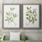 Herb Sage - Premium Framed Canvas 2 Piece Set - Ready to Hang