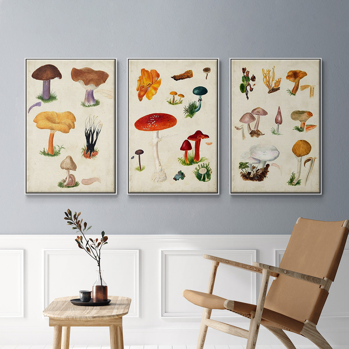 Mushroom Species VI - Framed Premium Gallery Wrapped Canvas L Frame 3 Piece Set - Ready to Hang