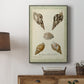 Bookplate Shells VIII Premium Gallery Wrapped Canvas - Ready to Hang