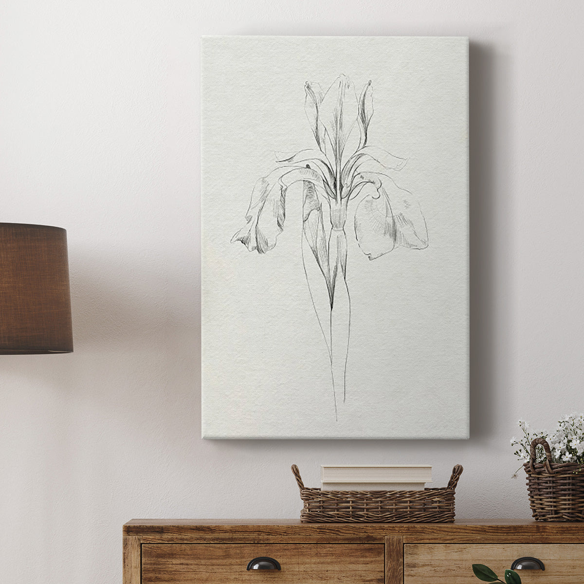 Neutral Iris Sketch I - Canvas Art Print