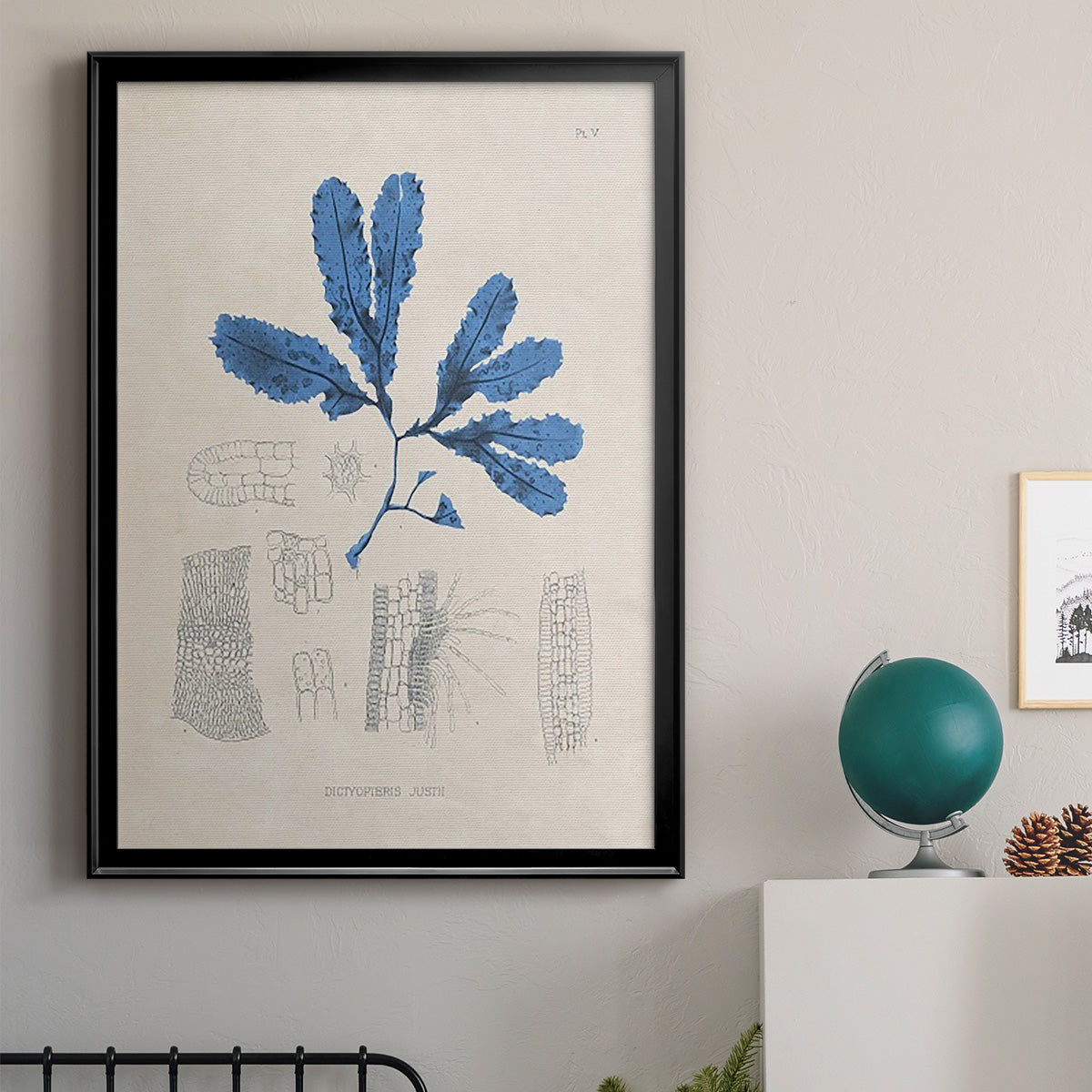 Blue Marine Algae VII - Modern Framed Canvas Print