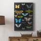 Graphic Butterfly Taxonomy I Premium Gallery Wrapped Canvas - Ready to Hang