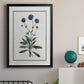 Soft Botanical II - Modern Framed Canvas Print