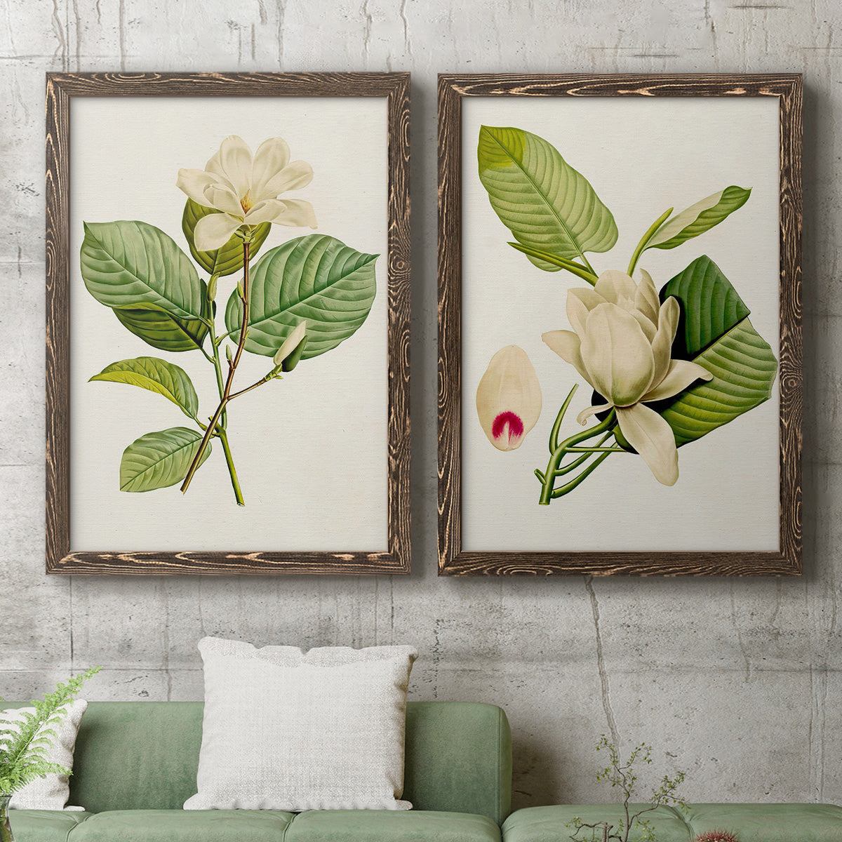 Set of two walnut barnwood framed canvas prints depicting a coordinated art pair of white magnolia blossoms and glossy green leaves rendered as traditional botanical paintings above a sofa in a modern living room.