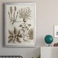 Sepia Botanical Journal VII - Modern Framed Canvas Print
