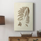 Sepia Ferns II - Canvas Art Print