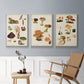 Mushroom Species IV - Framed Premium Gallery Wrapped Canvas L Frame 3 Piece Set - Ready to Hang