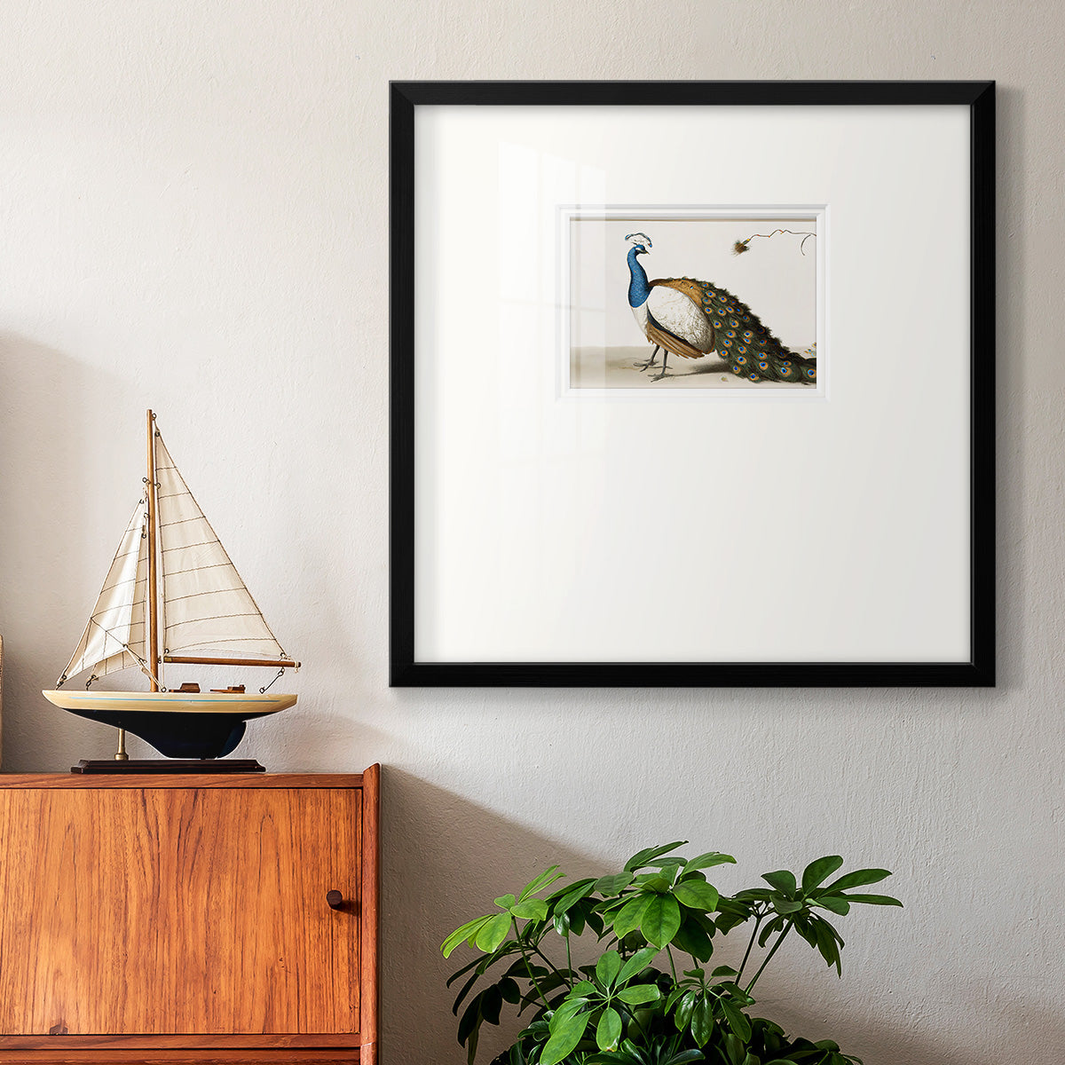 Standing Peacock Premium Framed Print Double Matboard