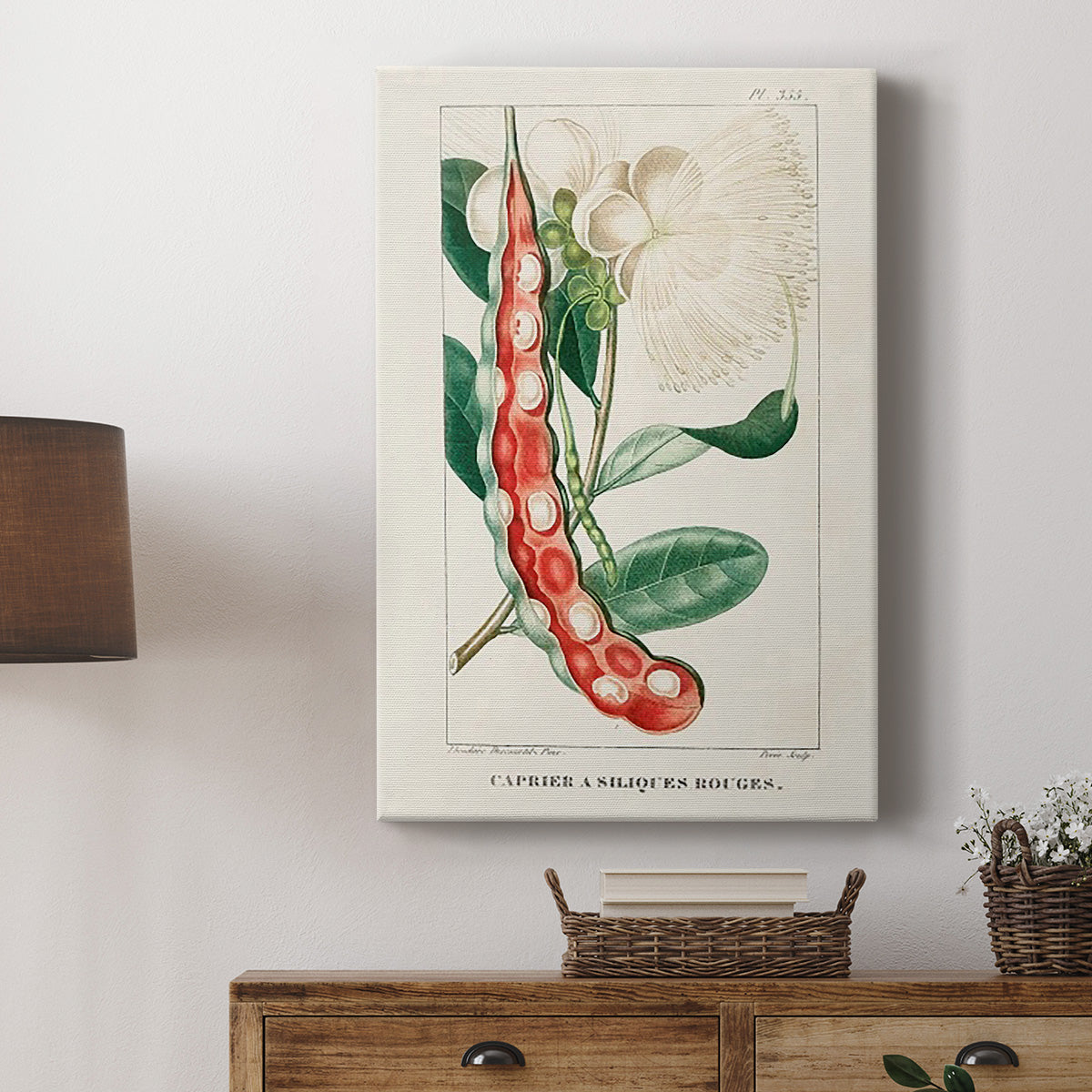 Turpin Tropical Botanicals VIII Premium Gallery Wrapped Canvas - Ready to Hang