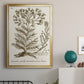 Sepia Botanical Journal I - Modern Framed Canvas Print