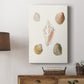 Pastel Knorr Shells IX - Canvas Art Print