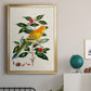 Bird in Habitat V - Modern Framed Canvas Print