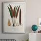 Botanical Society Ferns I - Modern Framed Canvas Print