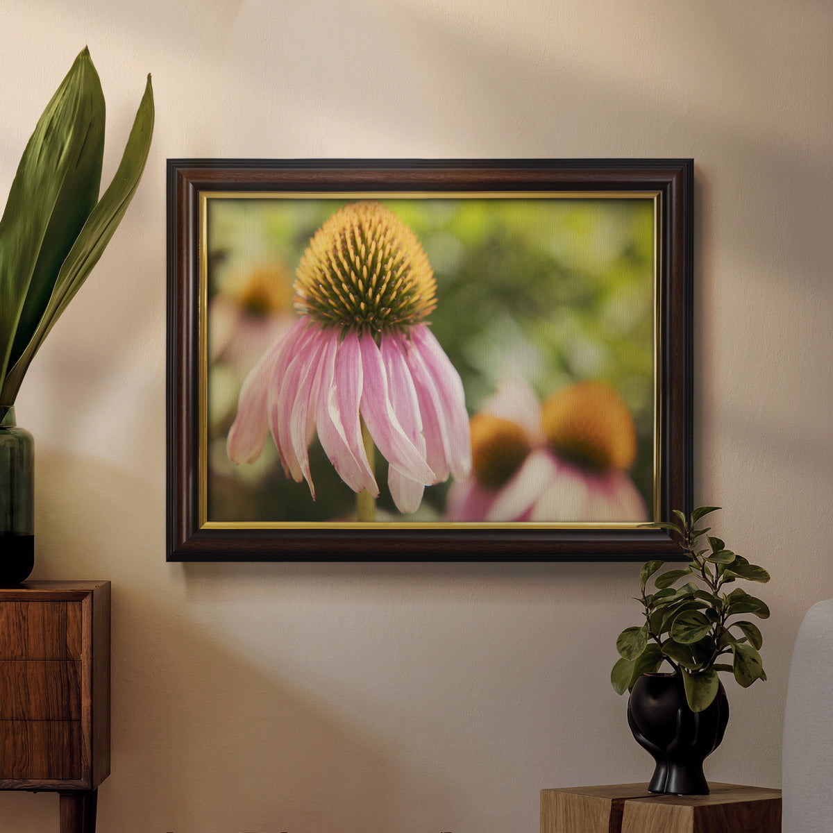 Echinacea Study II Premium Framed Canvas- Ready to Hang