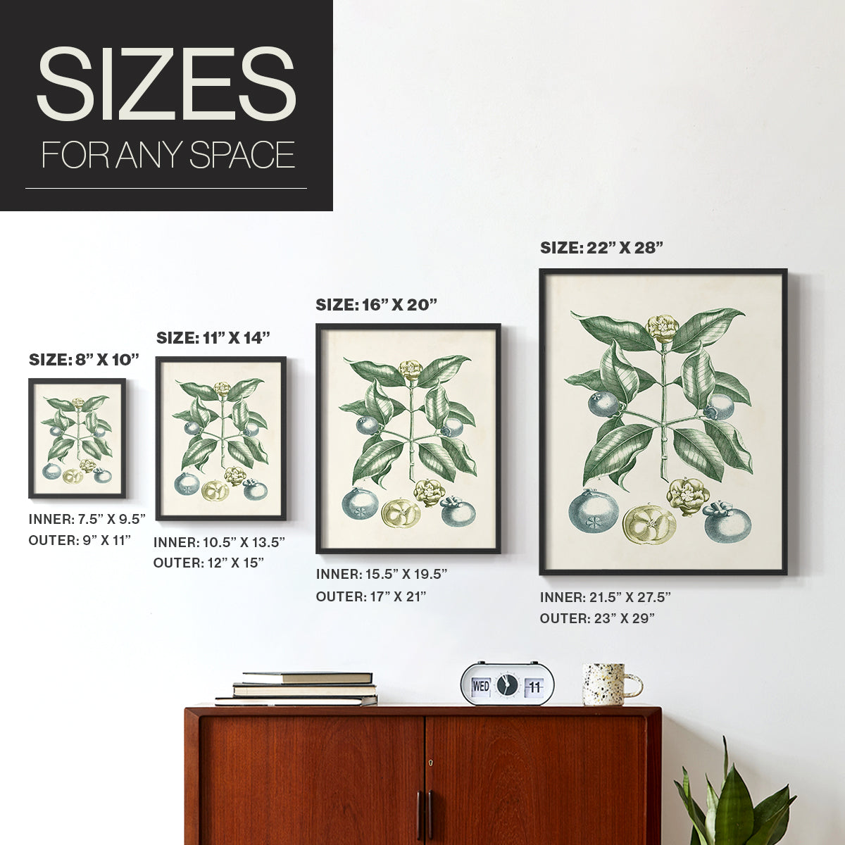 Buchoz Tropicals VII - Restickable Framed Art Print