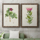 Set of two walnut barnwood framed canvas prints depicting a coordinated art pair of pink flowering plant specimens rendered as vintage botanical plate illustrations above a sofa in a modern living room.