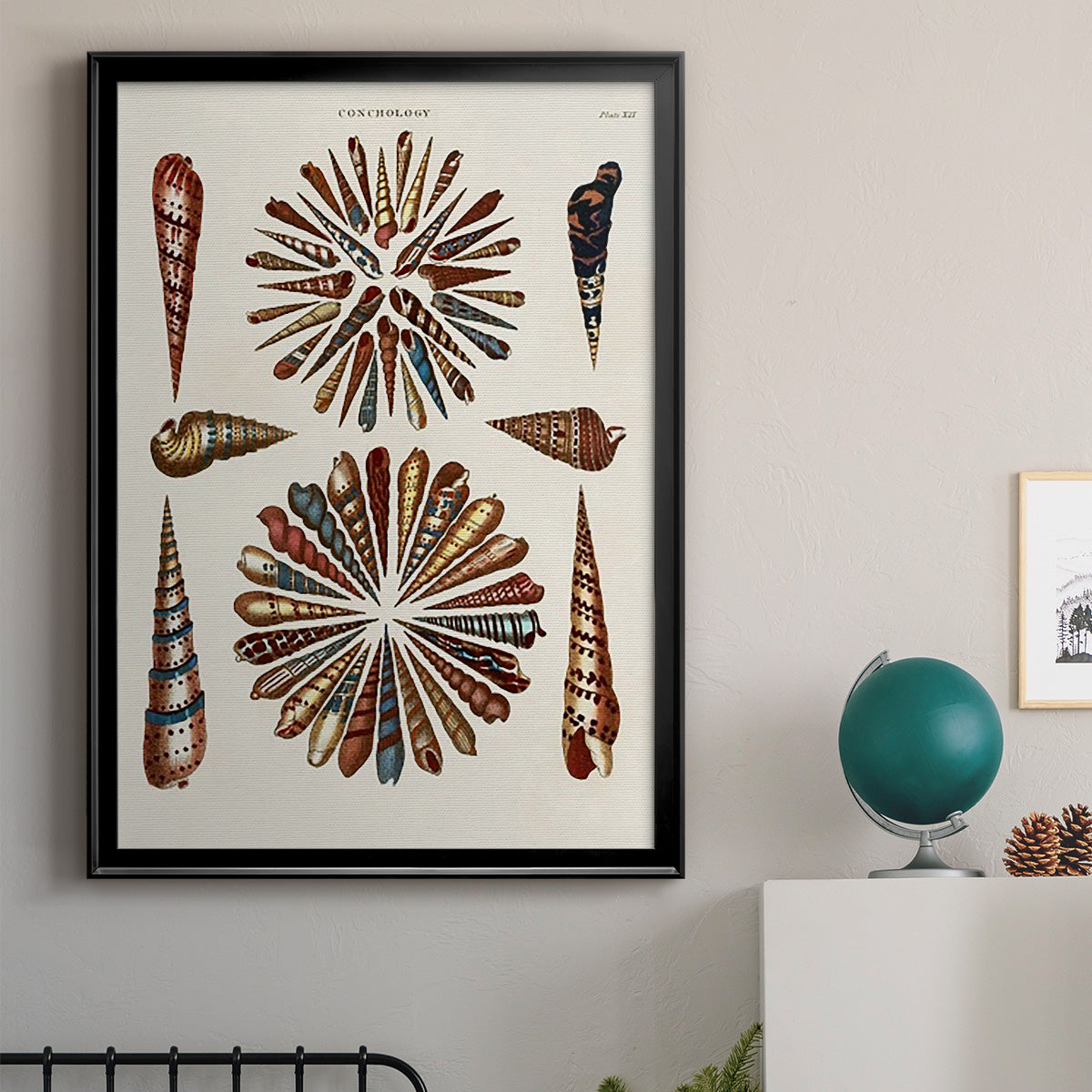 Spiral Shell Formation III - Modern Framed Canvas Print