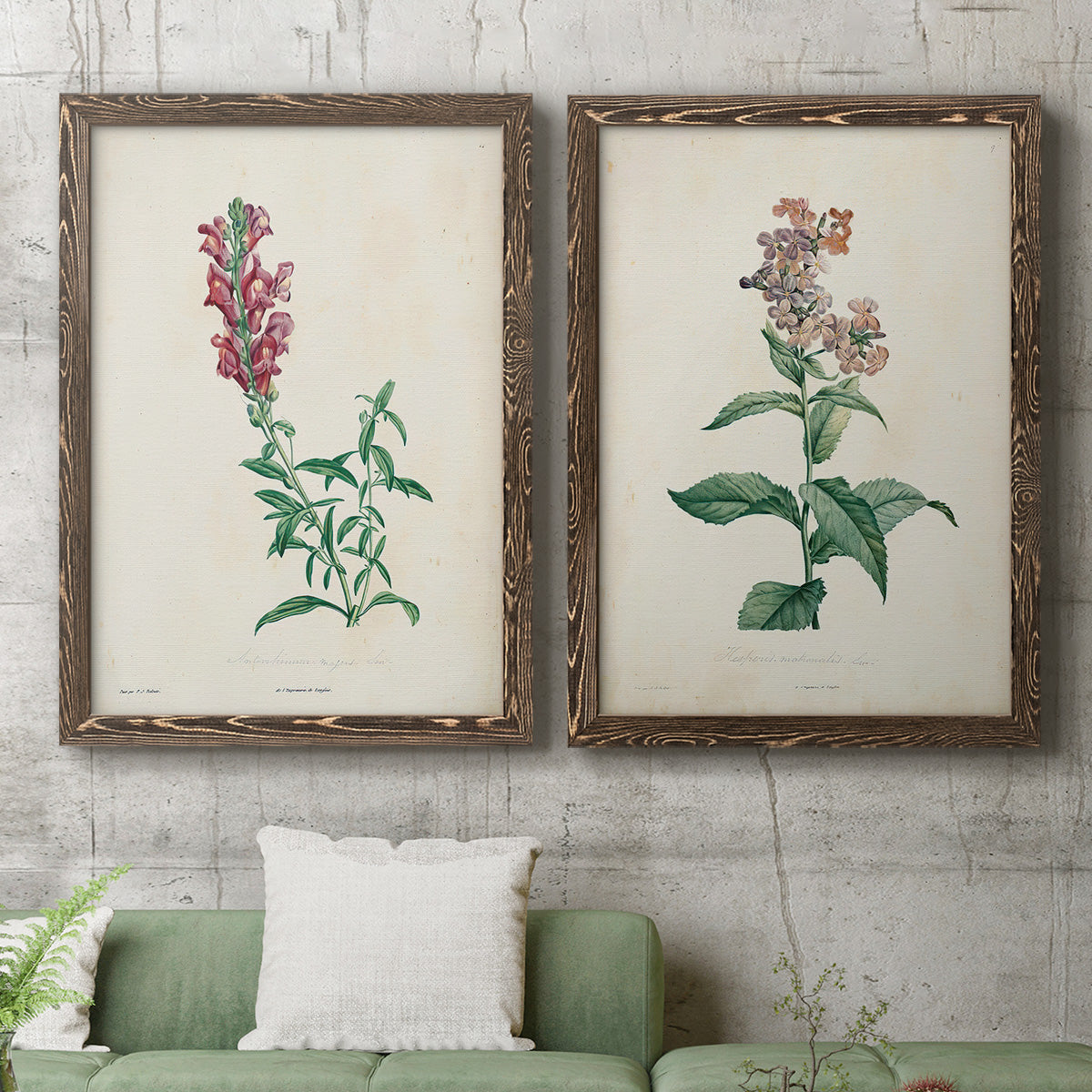 Set of two walnut barnwood framed canvas prints depicting antique floral illustrations featuring a tall red bloom and a clustered mauve flower above a sofa in a modern living room.