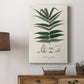 Botanical Society Ferns XII - Canvas Art Print