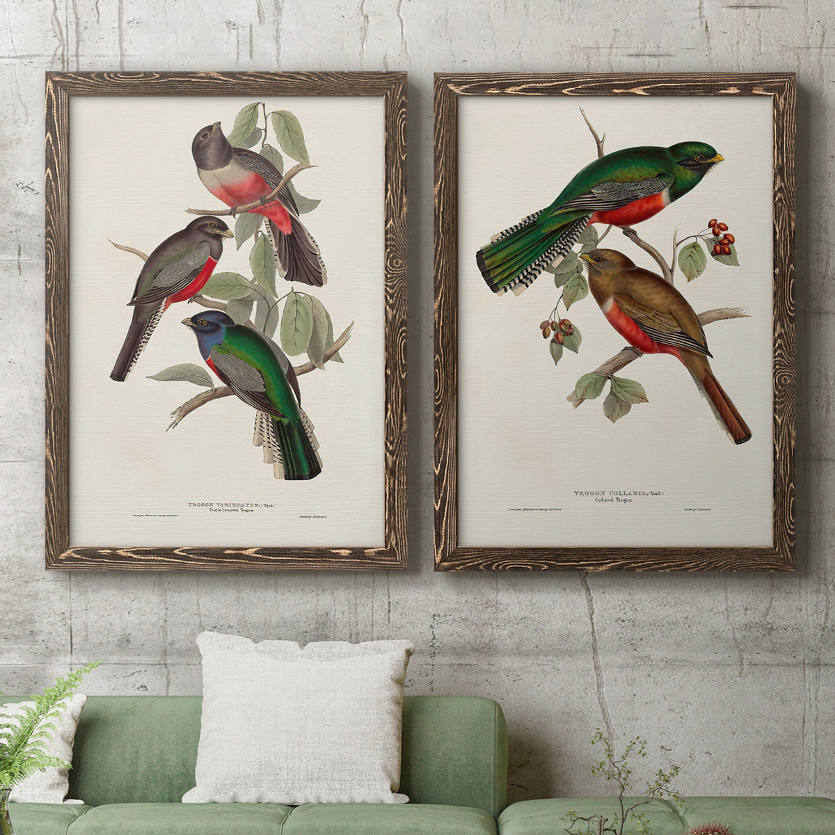 Elegant Trogons V - Premium Framed Canvas 2 Piece Set - Ready to Hang