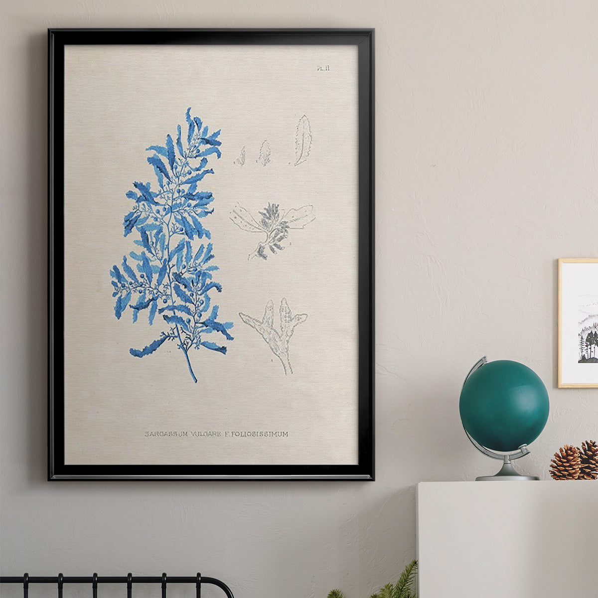 Blue Marine Algae VI - Modern Framed Canvas Print